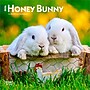 2026 BrownTrout Honey Bunny 7" x 7" Monthly Wall Calendar (9798330703647)~#|#~2E8D9CAF-A41F-424F-B422B7F24E8D8163_sc7