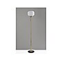 Adesso Hazel 65" Antique Brass Floor Lamp with Round Frosted Shade (4278-21)~#|#~2E997593-210D-40F9-8BD5151DFF24816E_sc7