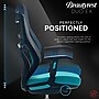Beautyrest Duo-EX Ergonomic Mesh Swivel Computer Chair, Teal (60051-TEL)~#|#~2E9A52C9-6B53-4CE2-923D2DF77E70A682_sc7