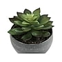 Monarch Specialties Inc. Succulents in Pots, 3/Pack (I 9587)~#|#~2ECF96F4-4E8E-4737-87C03B9340F79A2B_sc7