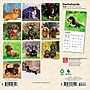 2026 BrownTrout Dachshunds 7" x 7" Monthly Wall Calendar (9798330703111)~#|#~2F3A4439-06C4-413F-8BDBB43D47167B0B_sc7