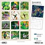 2026 Plato Hummingbirds 12" x 12" Monthly Wall Calendar (9798330706860)~#|#~30BA0997-0E6D-46E3-B058938F72FBC8C8_sc7