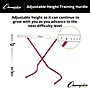 Champion Sports Adjustable Training Hurdle, Red/White (CHSPH)~#|#~30C5BB8C-37FC-4623-BB759D46850F4490_sc7