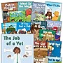 Teacher Created Materials Decodable Books: Read & Succeed Boxed Set, 15/Set (SEP145497)~#|#~30CE77CA-CE68-4293-885839413316E894_sc7