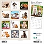 2026 Plato Kittens & Puppies 12" x 12" Monthly Wall Calendar (9798330706815)~#|#~3123D08E-FA1E-4775-832F4FE8F9C41EC1_sc7