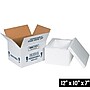 12" x 10" x 7" Insulated Shipping Containers, 200# Mullen Rated, White (227C)~#|#~3179AA13-EF33-430D-A1D461CA71DAC410_sc7
