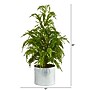 Nearly Natural Cedar Pine Natural Look Artificial Tree in Decorative Planter, 20" (T1506)~#|#~31BEC923-86DF-4878-B493332FFFFC7DE1_sc7