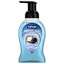 Softsoap Velvet Silk Antibacterial Foaming Hand Soap, Twilight Berry & Shea Butter Scent, 9 oz. (61052556)~#|#~31F5EAA1-5344-437A-85472EC34F31833E_sc7