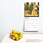 2025 BrownTrout Ginger Cats 12" x 12" Monthly Wall Calendar (9781975477035)~#|#~322093BF-E855-4545-A2507A80FF107024_sc7