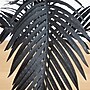 Nearly Natural Artificial Halloween Black Paradise Palm Tree, 4' (T5142)~#|#~322B6EC4-F5B5-42D4-871E116F2CBFE244_sc7