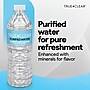 True Clear Purified Drinking Water, 16.9 fl oz Bottles, 24‑Pack, BPA‑Free, Recyclable, Perfect for Lunches~#|#~3262F410-1761-4B5A-85E7E3A634839E11_sc7
