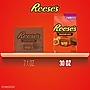Reese's Miniatures Milk Chocolate Peanut Butter Cups Candy Party Pack, 30 oz. (246-00412)~#|#~32841C34-FFA0-40DB-9D8639DAE767BBD7_sc7