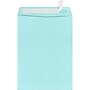 LUX 9 x 12 Open End Envelopes, 50/Box, Seafoam (LUX-4894-113-50)~#|#~333B8CDD-2C0C-4517-86C52FC6E8AEAC76_sc7