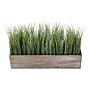 Monarch Specialties Inc. 12" Artificial Grass Plant in Pot (I 9374)~#|#~333B94EC-78F5-441F-A10BC0C78C093C17_sc7
