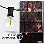 Newhouse Lighting Globe Party LED String Lights w/ Wireless Remote Dimmer, 50 ft., Black (PSTRINGLEDDIM)~#|#~33D3EB3F-6043-4D89-A95C14EE74009BB1_sc7