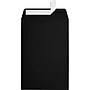 LUX Self Seal Catalog Envelope 6" x 9", Black (1644-BLI-250)~#|#~350B24FB-055D-4DDE-B05FA81264611023_sc7