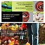 GoGreen Power 50' Indoor/Outdoor Extension Cord, 16 AWG, Orange (GG-13750)~#|#~351E2374-CBF7-47F0-9E1DB52960118347_sc7