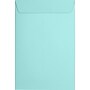 LUX 6 x 9 Open End Envelopesm Seafoam, 50/Box (LUX-1644-113-50)~#|#~3571BDA8-07B2-4E0E-B168EF5196FF5ADD_sc7