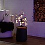 Nearly Natural 1.5' Pre-Lit Artificial Ghost Dolls, Spiders, Bats & Pumpkins Ornament Tree with 24 Lights, Black  (T5367)~#|#~35730CC6-163A-4858-9444C8A66DD9C90F_sc7