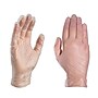 Ammex Professional VPF Powder Free Vinyl Exam Gloves, Latex Free, Clear, Large, 100 Gloves/Box, 10 Boxes/Carton (VPF66100-CC)~#|#~3579F126-F59F-482F-B9972D6682C2F7B8_sc7