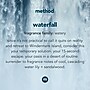 Method Foaming Hand Soap Refill, Waterfall Scent, 28 Fl. Oz. (328107)~#|#~361A5C3A-275D-49AE-BFE5F06893CA6DFD_sc7