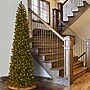 National Tree Company 12' Pre-Lit Downswept Douglas Fir Pencil Slim Artificial Christmas Tree~#|#~3625FA0E-1F45-45AF-82443A9EE3791148_sc7