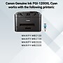 Canon PGI-1200 XL Cyan High Yield Ink Cartridge  (9196B001)~#|#~364B9912-EA20-4748-8CD666C30107F9D0_sc7