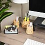 Mind Reader Pen Holder, Brown, 3/Set (PENRAT3-BRN)~#|#~3667590F-2C6A-47B4-82E482EEF5E48226_sc7