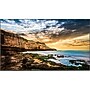 Samsung QET Series 65" Display for Digital Signage (QE65T)~#|#~366A593C-9517-4E13-9C27CF155CEB04CE_sc7