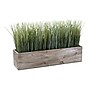 Monarch Specialties Inc. 12" Artificial Grass Plant in Pot (I 9374)~#|#~36945011-CE34-42FE-B83F0C79B913EF86_sc7