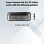 Canon 42 Yellow Standard Yield Ink Cartridge   (6387B002)~#|#~36E3B7A6-8D28-4517-B1B81C75895C297C_sc7