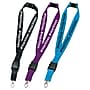 Hang in There Lanyard, 500/Box (IHPROMO20)~#|#~37AA4BA7-F92F-45D6-A44A4988AEE296A4_sc7