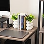 Mind Reader Concrete Book Ends, 5", White, 2/Set (OVBPLANT-WHT)~#|#~37B92BE3-9EAA-4BDA-BE769BF61292BE79_sc7