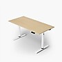 Arozzi Arena Nordico 55"W Electric Adjustable Standing Desk, Birch (ARENANRDWTBCH)~#|#~37F63DAA-D6F0-463D-96DB263DB65DAE78_sc7