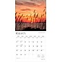 2026 BrownTrout Chesapeake Bay 12" x 12" Monthly Wall Calendar (9798330702831)~#|#~387283E8-89D9-461E-99AA447054725006_sc7