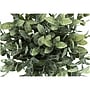 Monarch Specialties Inc. Eucalyptus and Grass in Pots, 2/Pack (I 9580)~#|#~38F87A3D-3C67-4EF3-9CB39B0D2AC9A04C_sc7