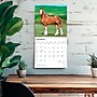 2026 BrownTrout Clydesdales 12" x 12" Monthly Wall Calendar (9798330702954)~#|#~393835A4-7569-41A6-BE972FA0834E0234_sc7
