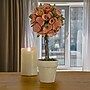 National Tree Company 12" Pink Floral Spring Topiary (EG79-19B0168-1)~#|#~398BDD02-BBC2-4BB0-93134E27B9CF4D75_sc7