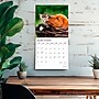 2026 Plato Kittens & Puppies 12" x 12" Monthly Wall Calendar (9798330706815)~#|#~39A383F4-CD45-4828-837C50690AA9FA65_sc7