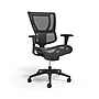 Workplace2.0 Lawton Ergonomic Mesh Swivel Task Chair, Black (UN62655)~#|#~39BF2DEA-924F-4C2B-A5514A844A797329_sc7