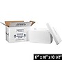 17" x 10" x 10.5" Insulated Shipping Containers, 200# Mullen Rated, White (246C)~#|#~3AAE3108-1199-4DE2-96C571FA352D54D4_sc7