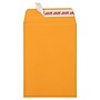 JAM PAPER Self Seal Catalog Envelopes, 5 1/2" x 7 1/2", Brown Kraft Manila, 100/Pack (400238465D)~#|#~3AE572B3-86BA-43B6-B77084CB54BB9853_sc7