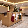 Safavieh Cinnamon Stocking, 12" x 20", 3/Set (HOL1004A-SET3)~#|#~3B7525CD-396C-4D0C-90A1B20EA4D08AA8_sc7