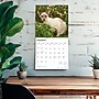 2026 BrownTrout Siamese Cats 12" x 12" Monthly Wall Calendar (9798330705573)~#|#~3B99F3D8-0264-4E5F-A0394E2871708CC5_sc7