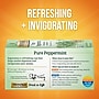 Twinings Pure Peppermint Caffeine-Free Herbal Tea Bags, 1.75 oz., 25/Box (TNA51724)~#|#~3BBFCB5C-6DC3-4927-A4E4466AAC7DF91F_sc7