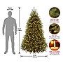 National Tree Company 6.5' Pre-Lit Dunhill Fir Artificial Christmas Tree (DUH3-300P-65)~#|#~3BD3E95A-26FE-4B6F-90C478E72F498422_sc7