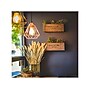 Viribright 5 Watts Warm White LED Decorative Bulb, 6/Box (ST19/641350/6)~#|#~3BF5092F-3EC7-45F4-8B217B72D9B9972F_sc7