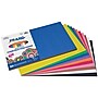 Prang 12" x 18" Construction Paper, Assorted Colors, 50 Sheets/Pack (PAC6507)~#|#~3BF8CFFE-8BB7-4AC1-9A4B4C1D091928E5_sc7