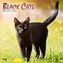 2025 BrownTrout Black Cats 12" x 12" Monthly Wall Calendar (9781975476649)~#|#~3D137641-2998-47E8-8F835A9B2F3EAFF8_sc7