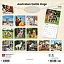 2026 BrownTrout Australian Cattle Dogs 12" x 12" Monthly Wall Calendar (9798330702190)~#|#~3D347D61-869B-49B0-B6421D8923B3456E_sc7